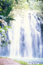 Elinjaa Falls