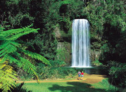 Millaa Millaa Falls - Image courtesy of Tourism Queensland
